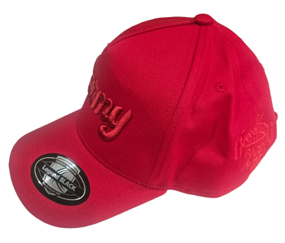 BARMY STEALTH BASEBALL CAP