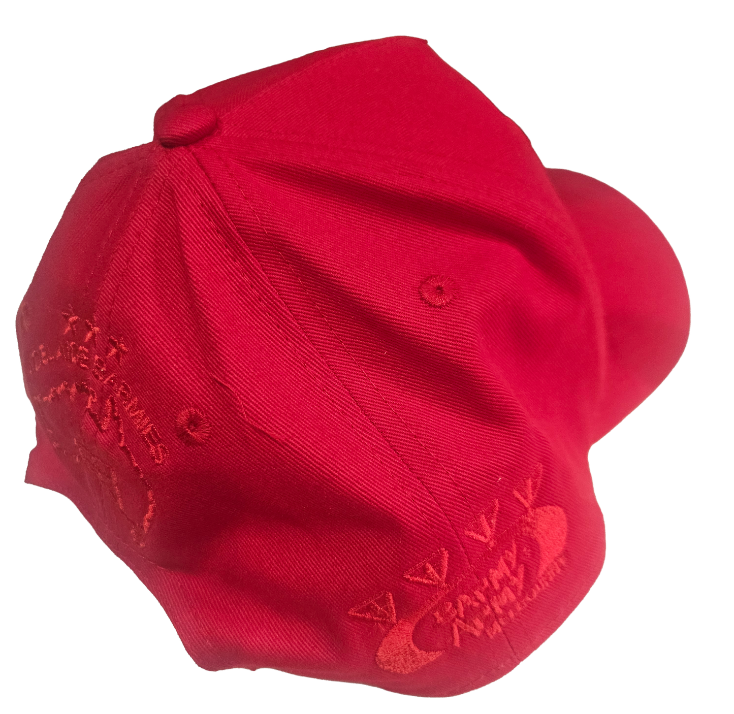 BARMY STEALTH BASEBALL CAP